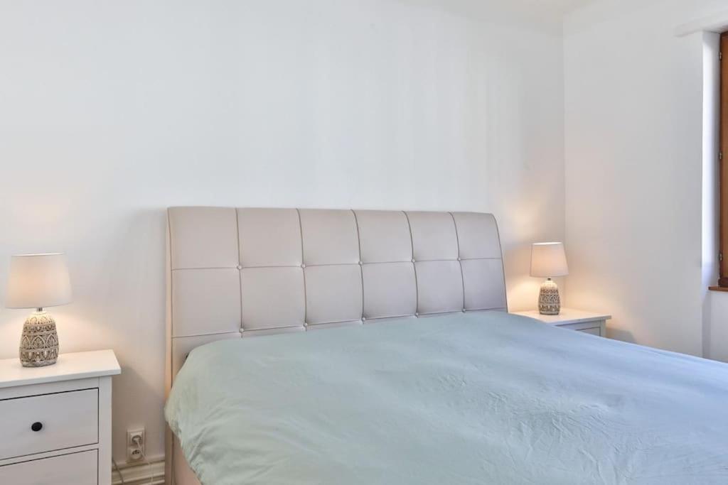 Suite Tres Moderne Et Cosy, Proche Centre-Ville, Mulhouse Centre エクステリア 写真