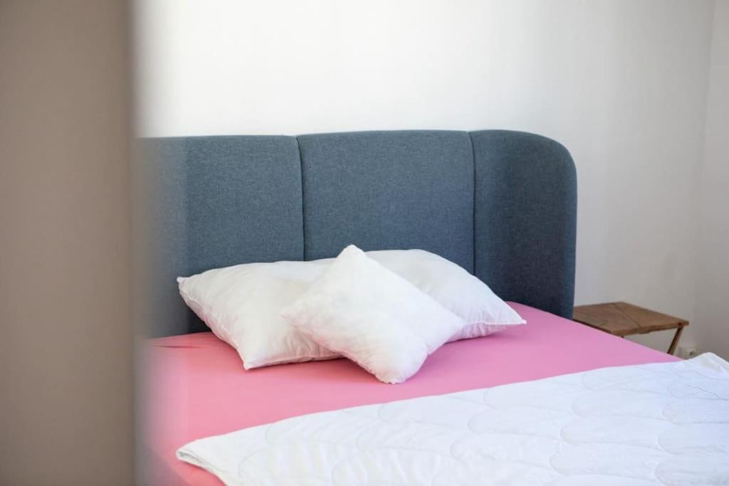 Suite Tres Moderne Et Cosy, Proche Centre-Ville, Mulhouse Centre エクステリア 写真
